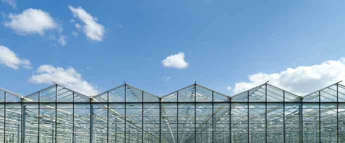 Case Studies: Pioneer Water Tanks in Action on Agriculture Farms