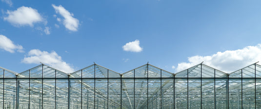 Case Studies: Pioneer Water Tanks in Action on Agriculture Farms