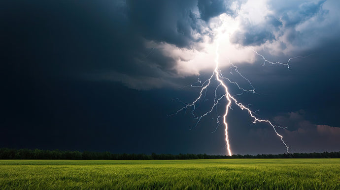 Rainwater Harvesting for Wildfire Defense Systems